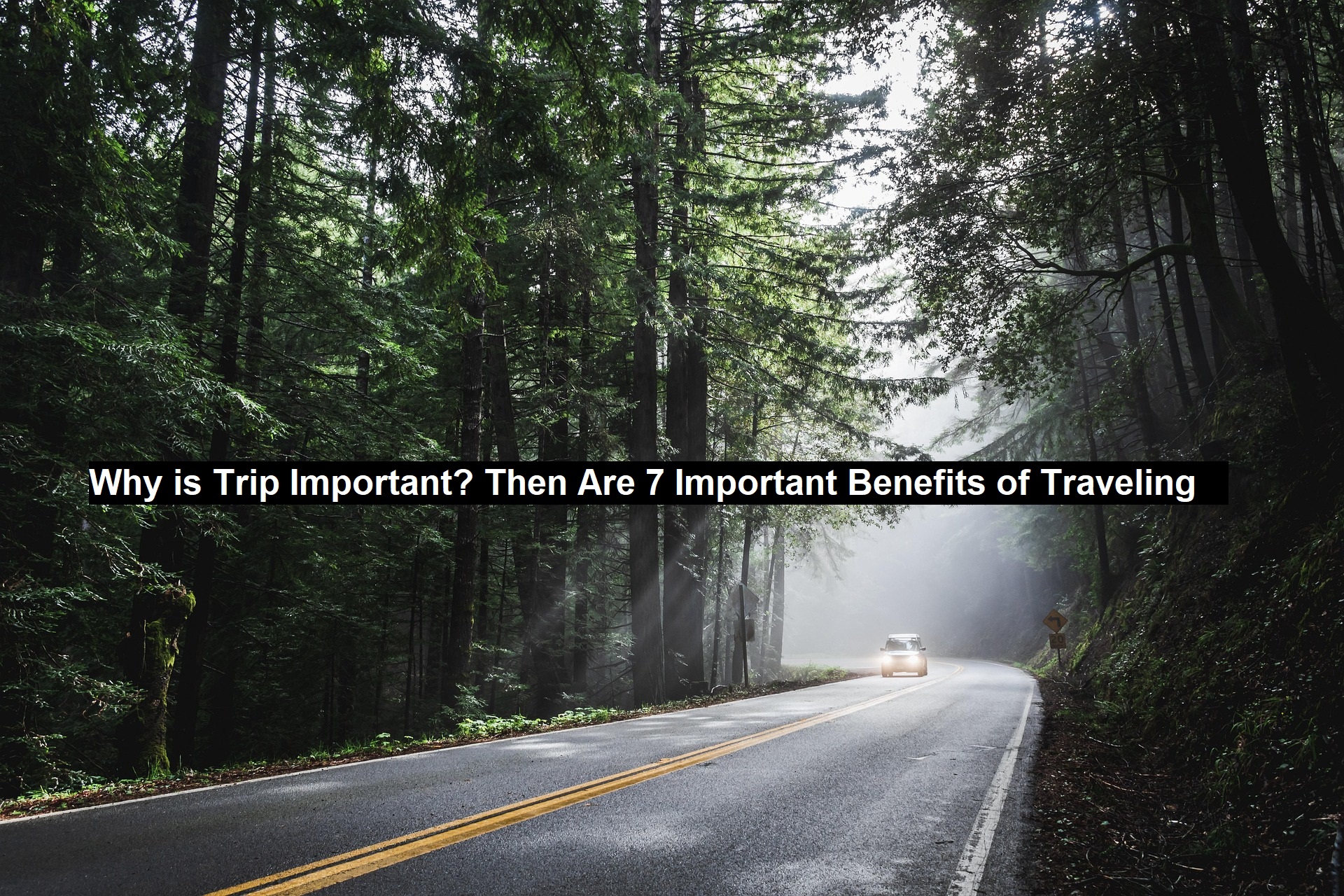 Why is Trip Important? Then Are 7 Important Benefits of Traveling 